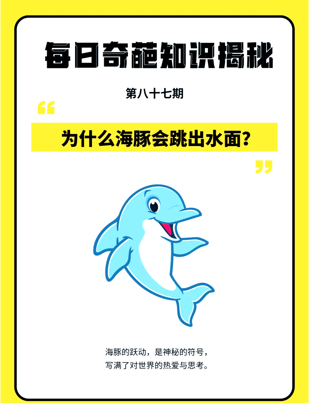 看海豚飞跃，海边的趣味运动体验