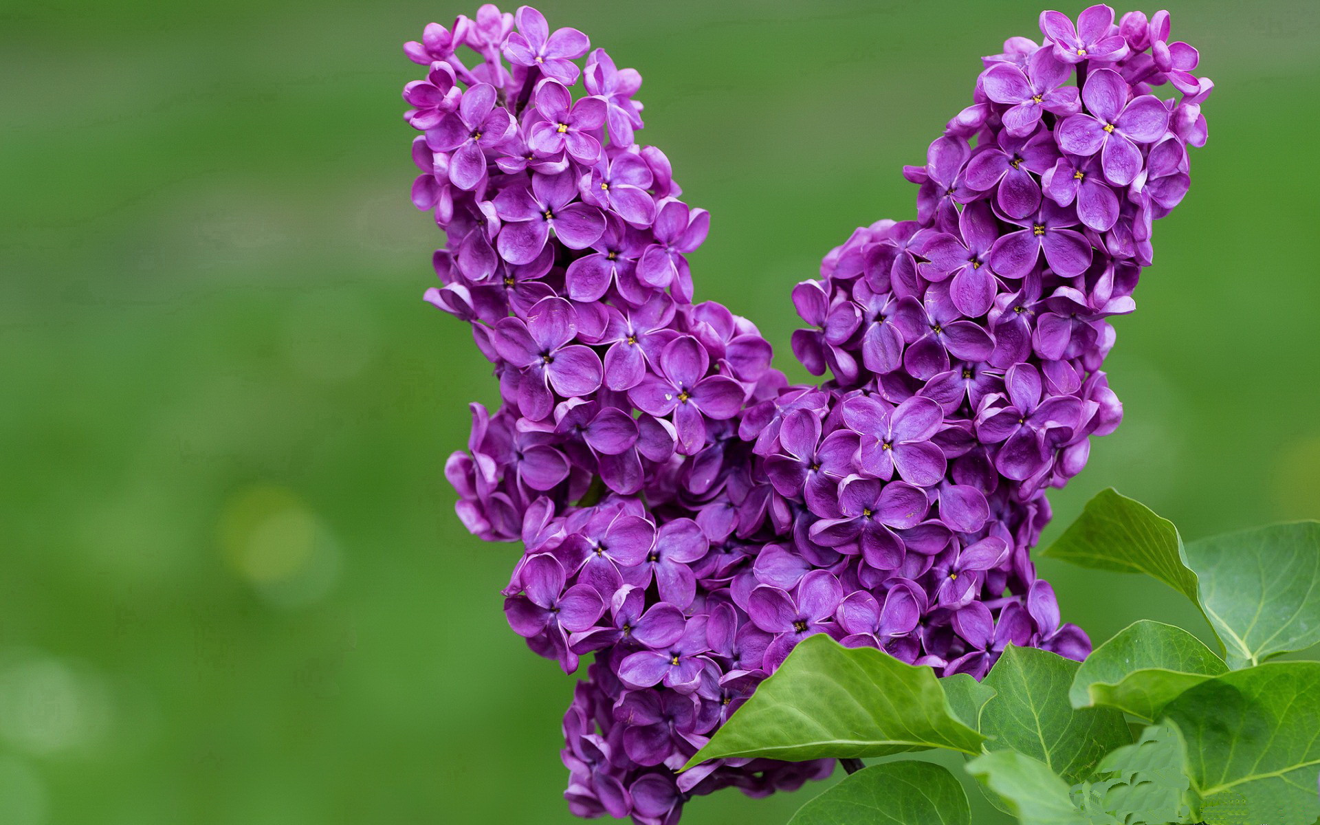爱游戏官方-篮球裁判执法视频辅助技术普及应用，篮球裁判执裁案例解读