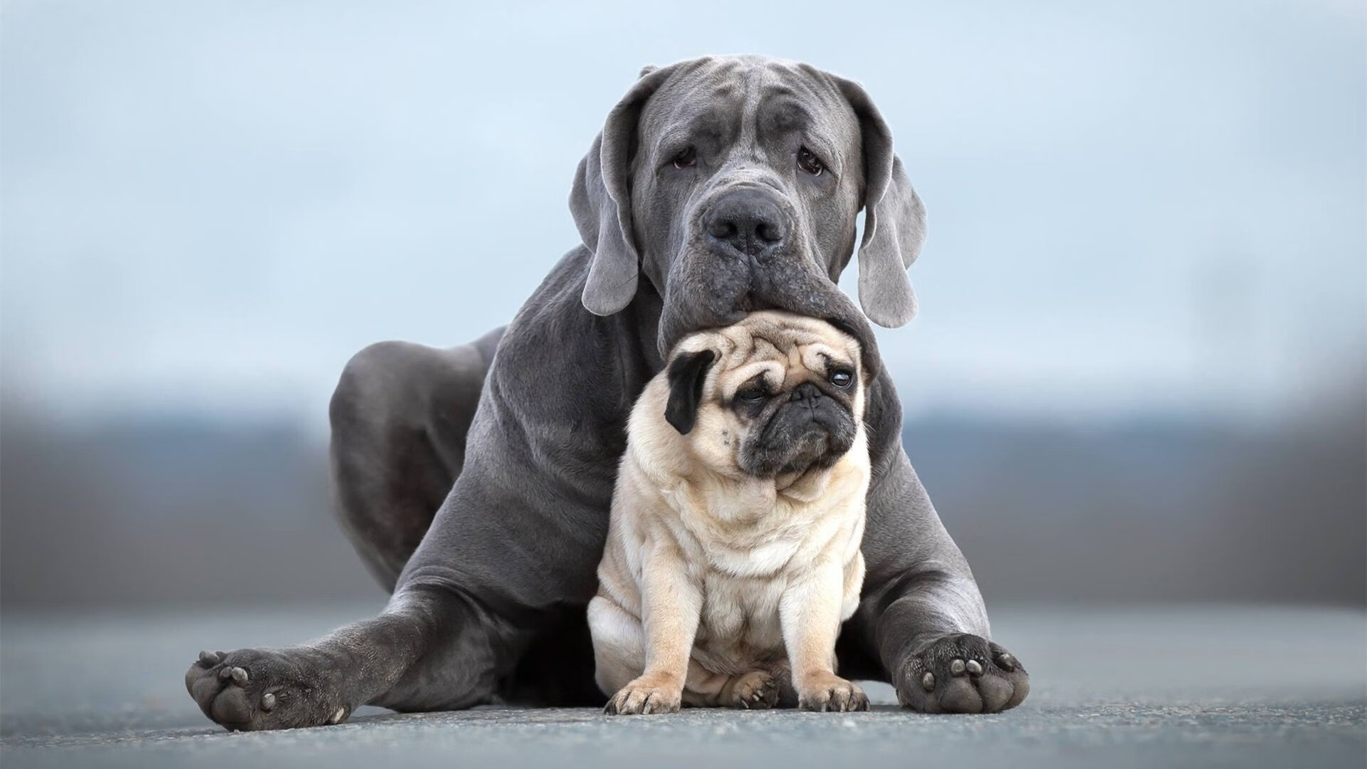 全明星技巧赛是否应更具实际意义，全明星赛技巧大赛