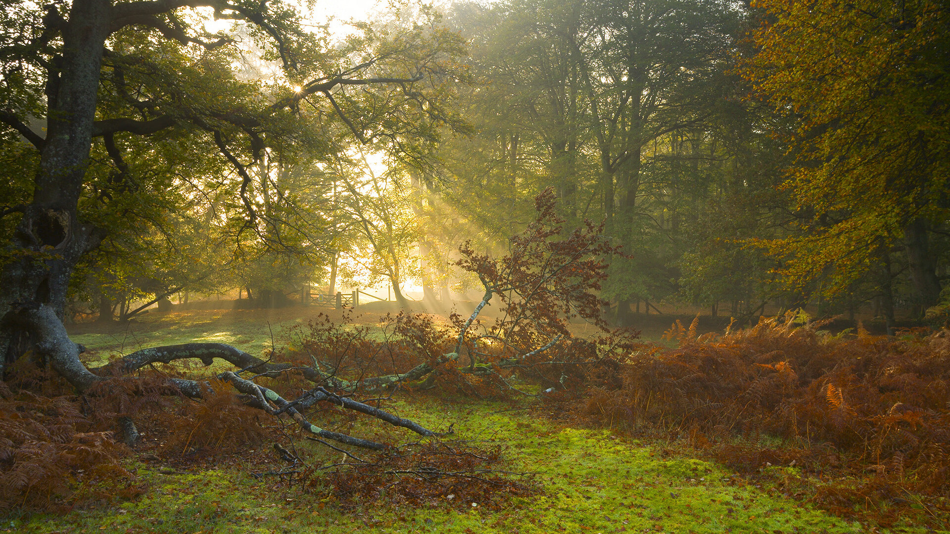 中甲联赛赛程紧凑 球队体能面临考验,中甲联赛竞赛规则