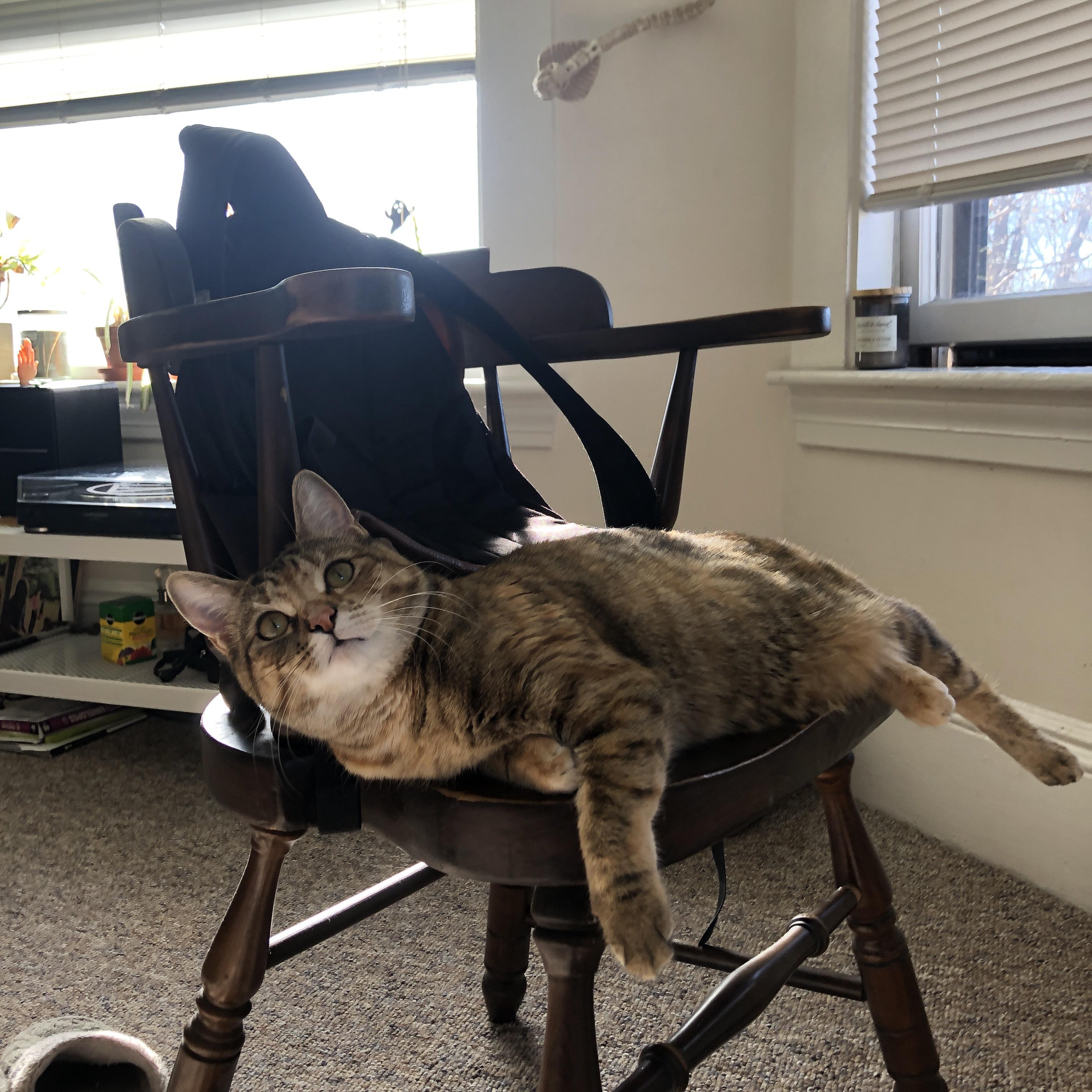 爱游戏app下载-印度乒乓赛制解析：多元化赛事体系如何促进发展，印度乒乓球名将