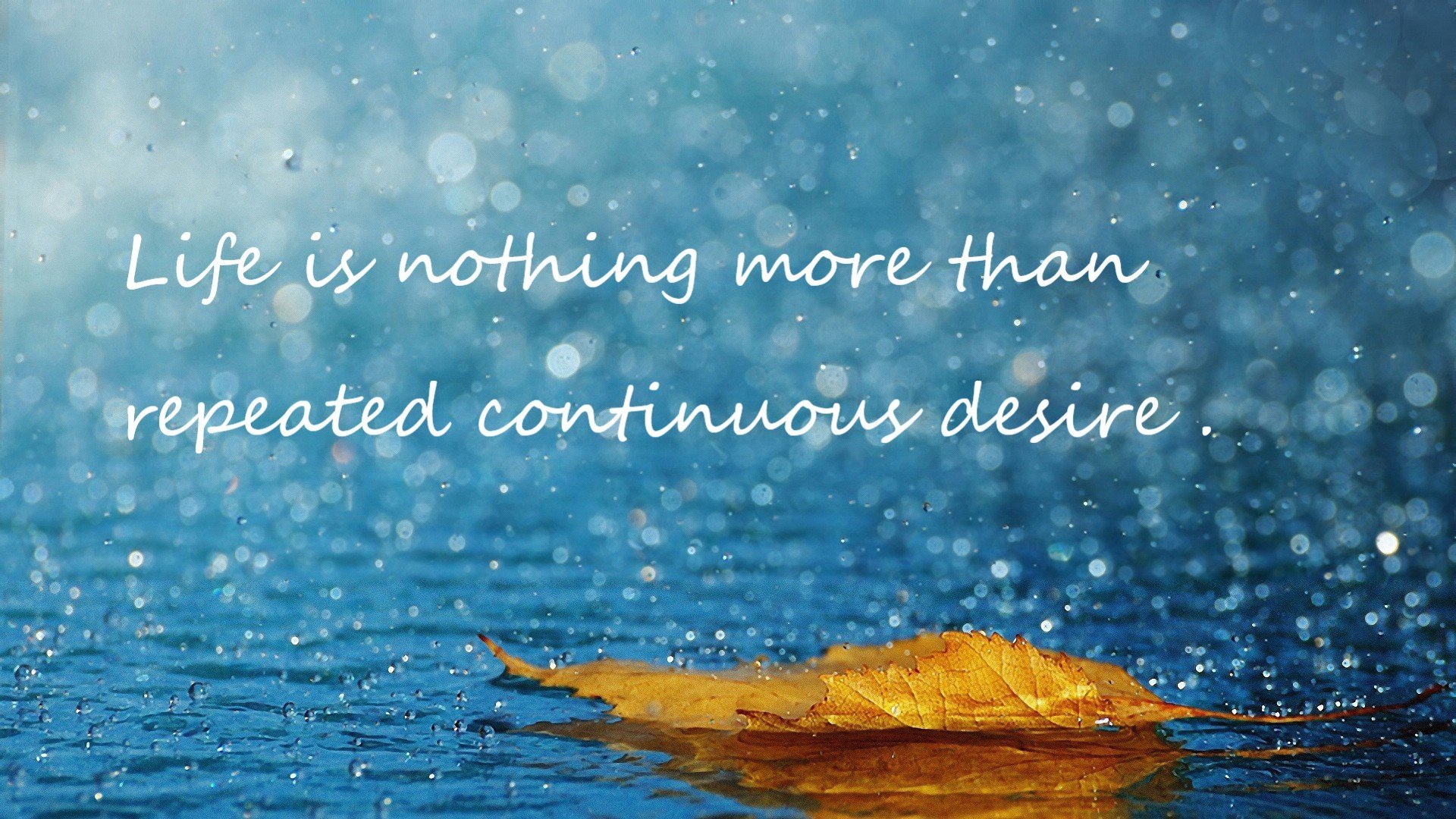 埃及乒乓队未来:深化国内基础训练,提升选手国际战斗力,埃及乒乓球名将