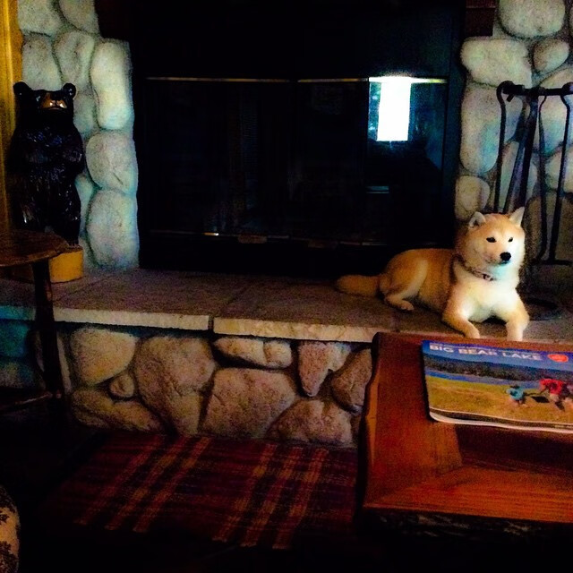 尤文图斯主打稳守反击重回胜轨，尤文图斯主打阵型