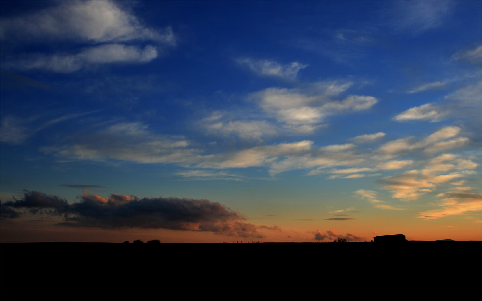 武术文化节在多地同步举行推广传统技艺,武术文化节活动有什么