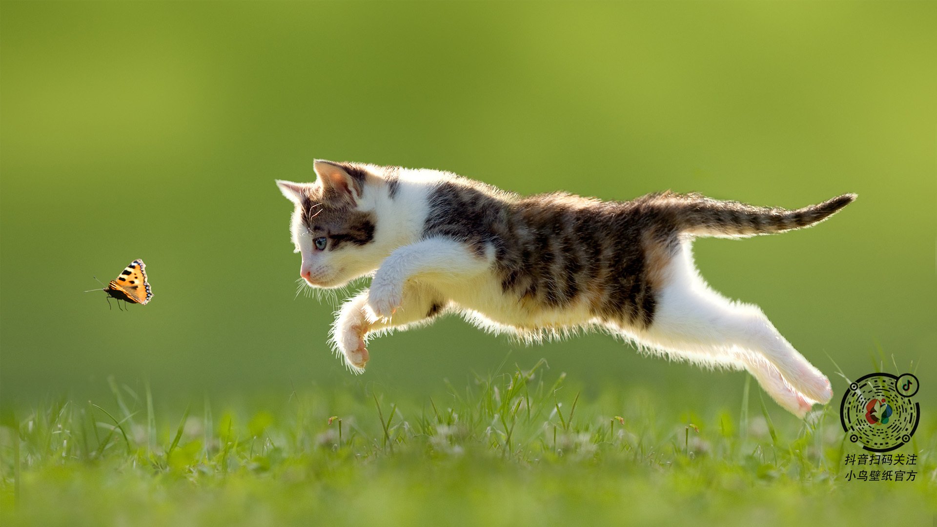 爱游戏娱乐网址-南非羚羊队：稳固防线与精准进攻，成为其他球队难以逾越的巅峰