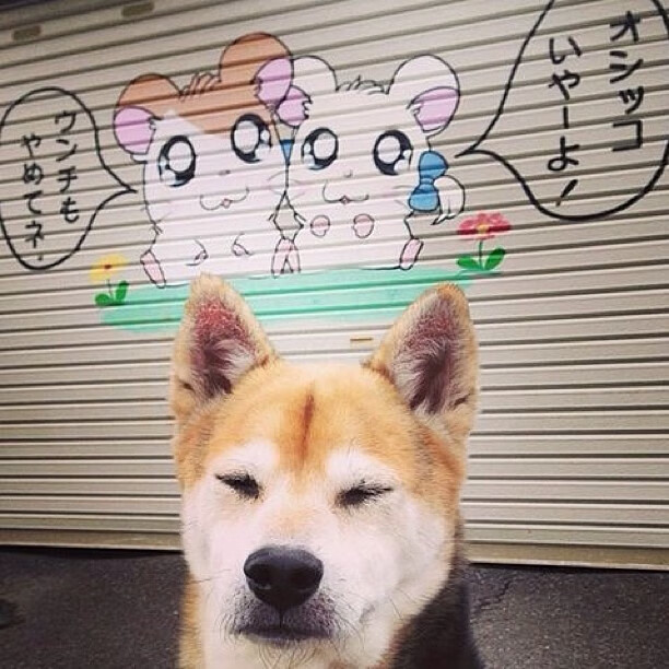 法甲杰出新星：未来领袖正逐步崛起！，法甲潜力球员