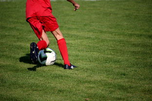 爱游戏平台-职业俱乐部推动退役球员培训转型教练岗位，职业选手退役当教练