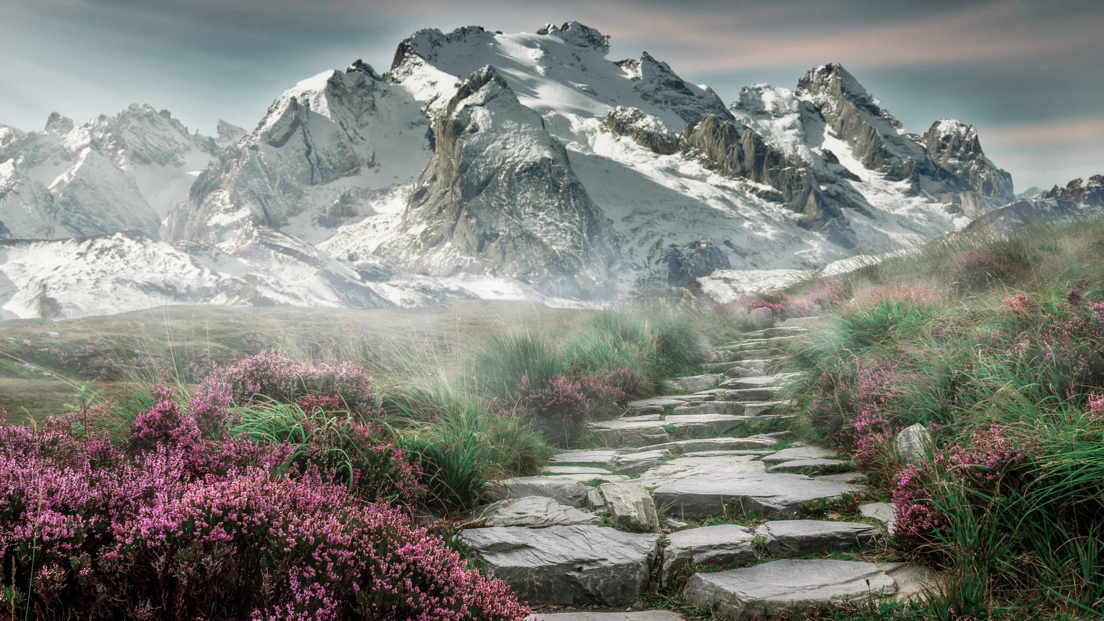 莫莉·奥卡拉汉冲刺阶段技压群雄,奥斯卡莫利亚