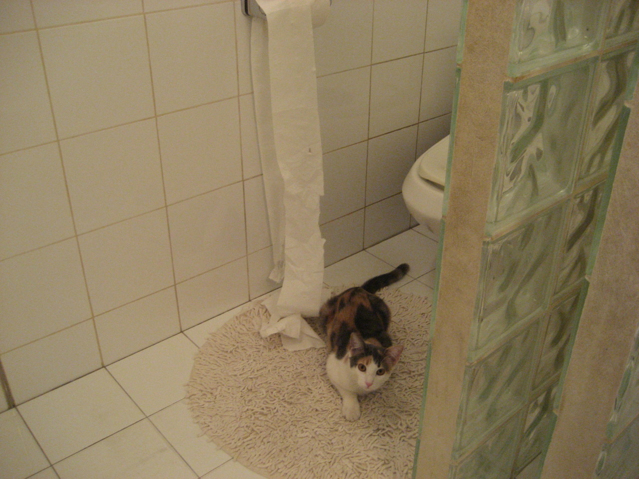 莫莉·奥卡拉汉冲刺阶段技压群雄,奥斯卡莫利亚